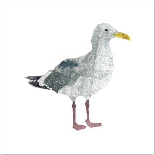 Sea gull Posters and Art